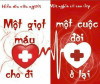 HOẠT ĐỘNG HIẾN MÁU TÌNH NGUYỆN CỦA CBGVNV
