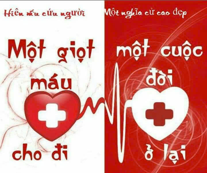 HOẠT ĐỘNG HIẾN MÁU TÌNH NGUYỆN CỦA CBGVNV